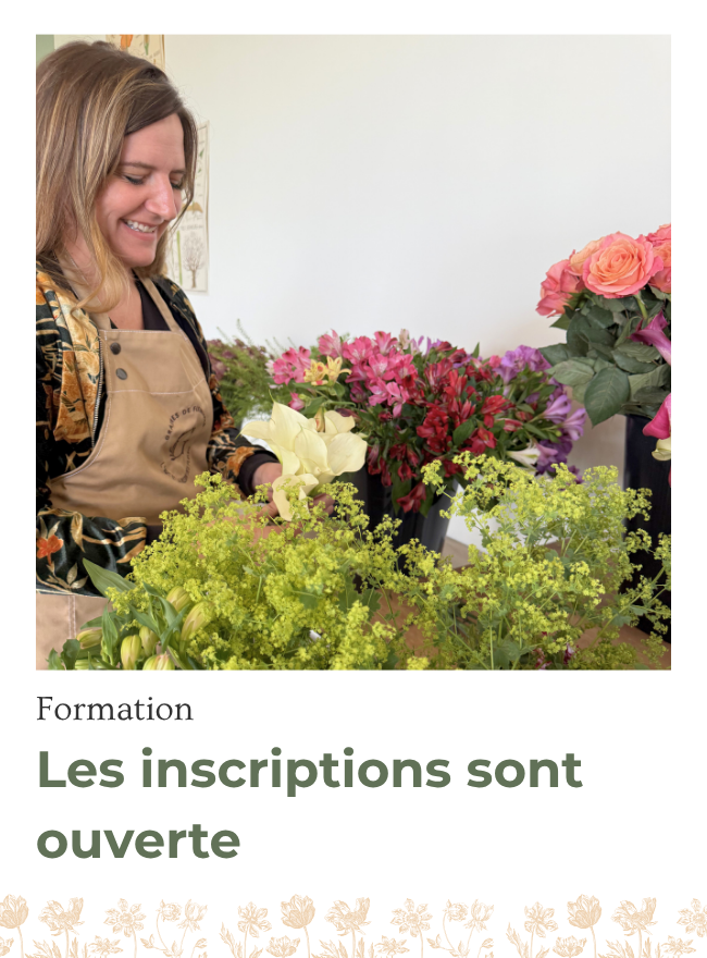 Les inscription CAP et BP sont ouvertes au Centre de formation Graines de Fleuristes Les inscription CAP et BP sont ouvertes au Centre de formation Graines de Fleuristes
